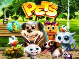Pets