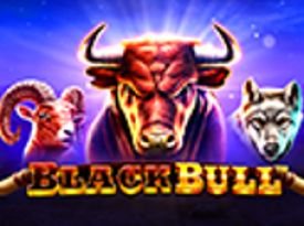 Black Bull