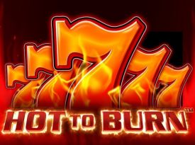 Hot to Burn