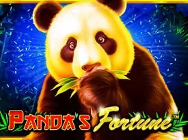 Panda's Fortune