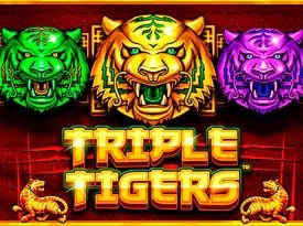 Triple Tigers