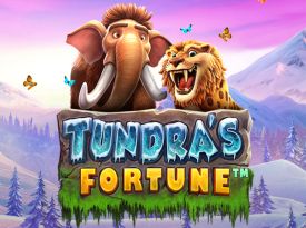 Tundra’s Fortune
