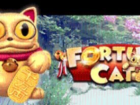 Fortune Cat