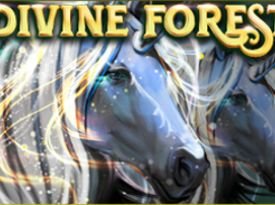 Divine Forest