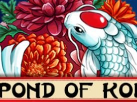 Pond of Koi