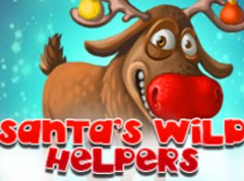 Santa Wild Helpers