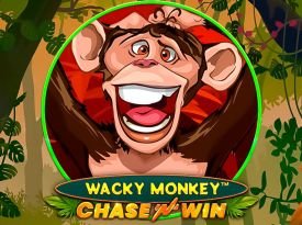 Wacky Monkey - Chase'N'Win
