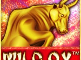 Wild Ox