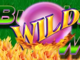 Burning Wild New Version