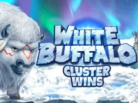 White Buffalo