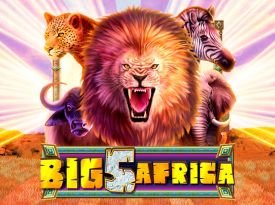 Big 5 Africa