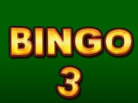 Bingo 3