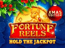 Fortune Reels Xmas