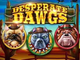 Desperate Dawgs