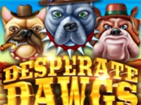 Desperate Dawgs
