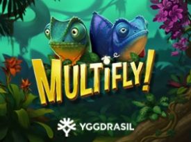 MultiFly!™