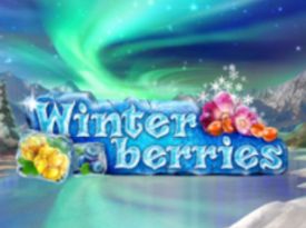 Winterberries