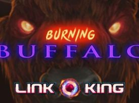 Burning Buffalo